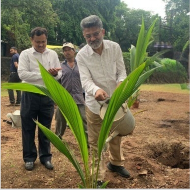Tree Plantation at DES